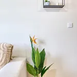 Uriel's - 1 Bedroom Penthouse By Solea 슬리에마